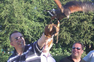 Group flying a hawk